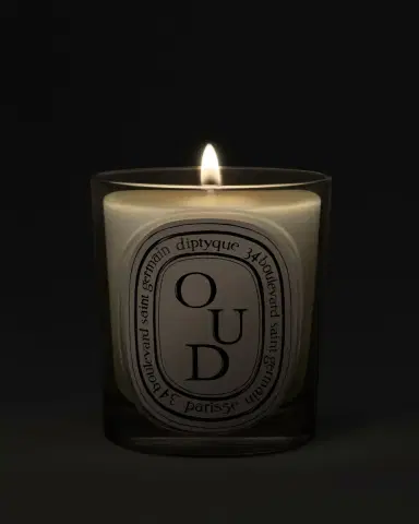 Diptyque Oud Classic Candle, 6.7 oz. | Thumbnail 2