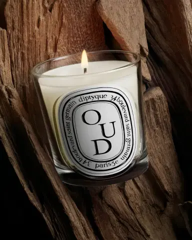 Diptyque Oud Classic Candle, 6.7 oz. | Thumbnail 3