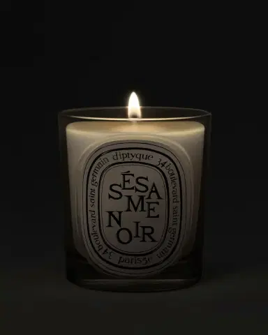 Diptyque Ssame Noir (Black Sesame) Classic Candle, 6.7 oz. | Thumbnail 2