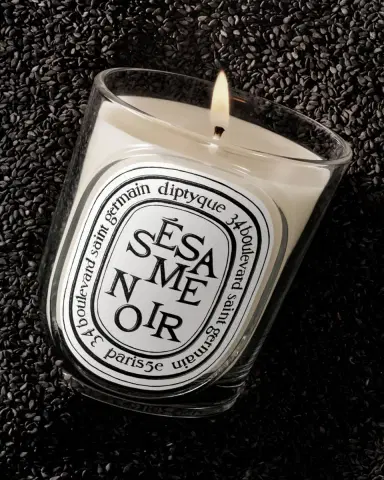 Diptyque Ssame Noir (Black Sesame) Classic Candle, 6.7 oz. | Thumbnail 3