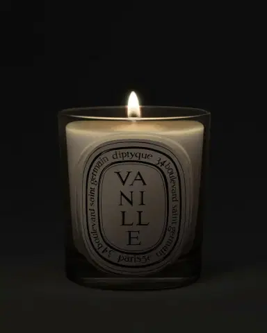 Diptyque Vanille (Vanilla) Classic Candle, 6.7 oz. | Thumbnail 2