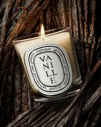 Diptyque Vanille (Vanilla) Classic Candle, 6.7 oz. | Thumbnail 3
