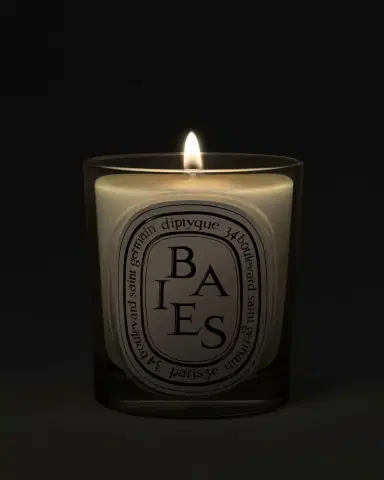 Diptyque Baies (Berries) Classic Candle, 6.7 oz. | Thumbnail 2