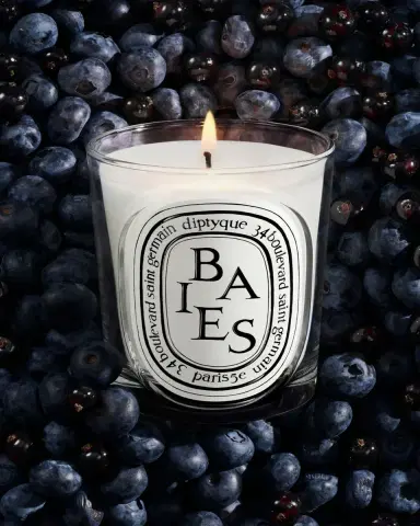 Diptyque Baies (Berries) Classic Candle, 6.7 oz. | Thumbnail 3