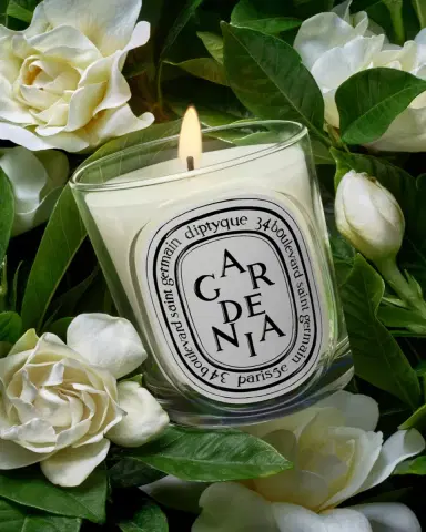 Diptyque Gardenia Classic Candle, 6.7 oz. | Thumbnail 3 Diptyque Gardenia Classic Candle, 6.7 oz. | Thumbnail 3