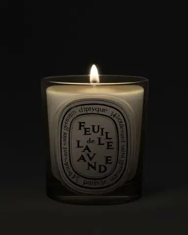 Diptyque Feuille de Lavande (Lavender Leaf) Classic Candle, 6.7 oz. | Thumbnail 2