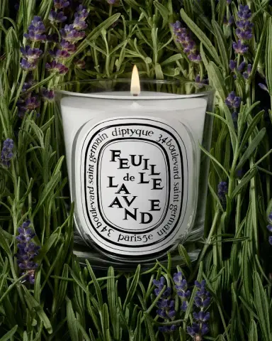 Diptyque Feuille de Lavande (Lavender Leaf) Classic Candle, 6.7 oz. | Thumbnail 3