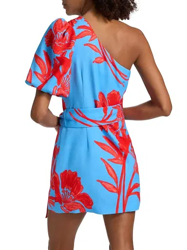 Cara Cara Women's Lucia One-Shoulder Puff Sleeve Floral Minidress - Flora Shadow Sky - Size 2 | Thumbnail 5 Cara Cara Women's Lucia One-Shoulder Puff Sleeve Floral Minidress - Flora Shadow Sky - Size 2 | Thumbnail 5