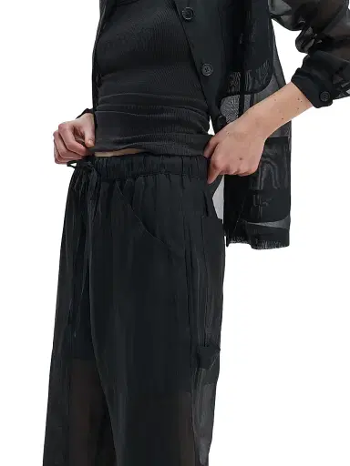 rag & bone Women's Atlas Organza Pants - Black - Size Large | Thumbnail 5