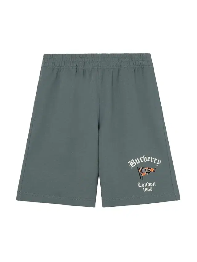 Burberry Men's Rick Check Flag Cotton Shorts - Seafarer Blue