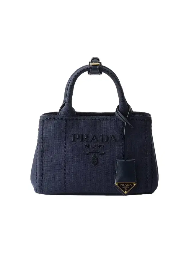 Women's Jardiniere Mini Cotton Canvas Top Handle Bag - Blue