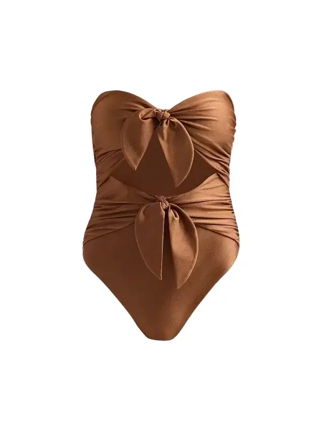 Zimmermann Women's Aster Scarf Tie One-Piece Swimsuit - Walnut