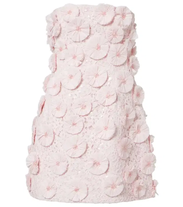 Simkhai Holland embellished bustier dress
