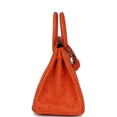 HERMÈS Hermes Birkin 25 Tangerine Ostrich Palladium Hardware | Thumbnail 3 HERMÈS Hermes Birkin 25 Tangerine Ostrich Palladium Hardware | Thumbnail 3
