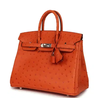 HERMÈS Hermes Birkin 25 Tangerine Ostrich Palladium Hardware | Thumbnail 5 HERMÈS Hermes Birkin 25 Tangerine Ostrich Palladium Hardware | Thumbnail 5