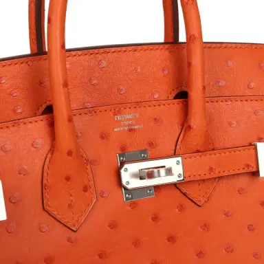 HERMÈS Hermes Birkin 25 Tangerine Ostrich Palladium Hardware | Thumbnail 7 HERMÈS Hermes Birkin 25 Tangerine Ostrich Palladium Hardware | Thumbnail 7