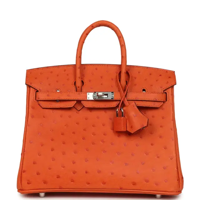 hermes Hermes Birkin 25 Tangerine Ostrich Palladium Hardware