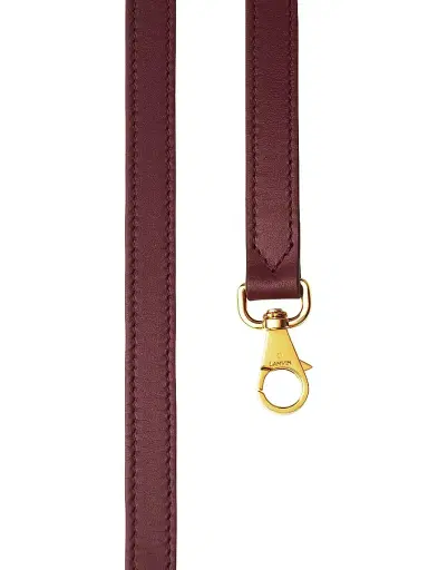 Lanvin Women's Compagnon Asymmetrical Crossbody Bag in Leather - Bacchus | Thumbnail 8