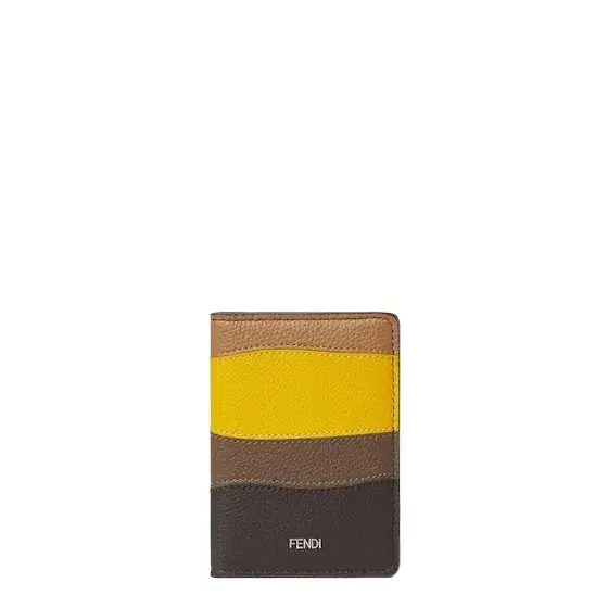 Colorblock Card Case