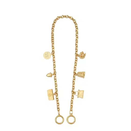 Fendi Chain mesh shoulder strap with round double clip, to use