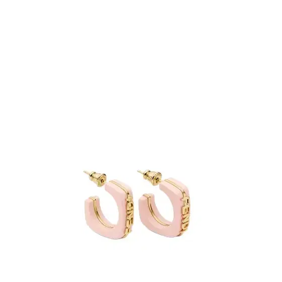 Linear and elegant hoop earrings embellished