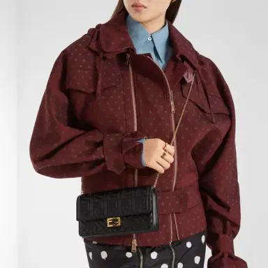 Fendi Tube Wallet On Chain | Thumbnail 2