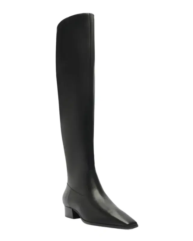 Schutz Helena Leather Over-The-Knee Boots