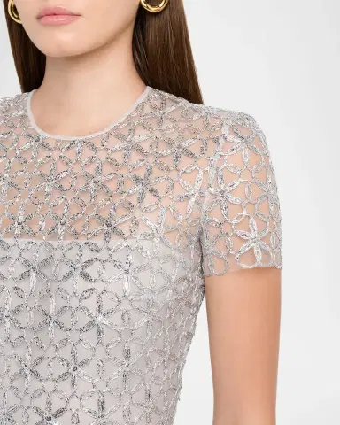 Naeem Khan Metallic Raffia Embroidered Short-Sleeve Gown | Thumbnail 4 Naeem Khan Metallic Raffia Embroidered Short-Sleeve Gown | Thumbnail 4