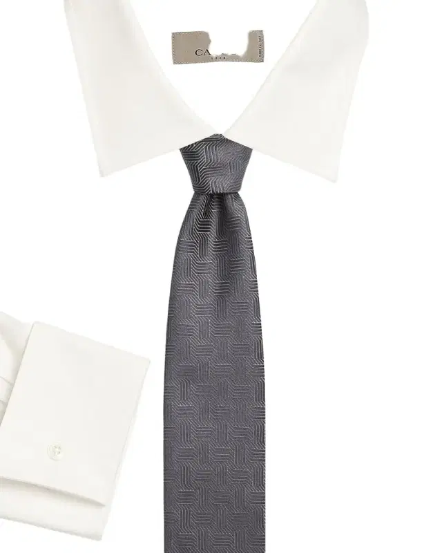 Men 's Art Deco Silk Tie, Silver
