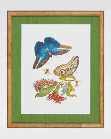 Shadow Catchers "Classic Botanical I" Framed Giclee | Thumbnail 2 Shadow Catchers "Classic Botanical I" Framed Giclee | Thumbnail 2