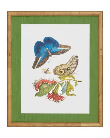 Shadow Catchers "Classic Botanical I" Framed Giclee | Thumbnail 1 Shadow Catchers "Classic Botanical I" Framed Giclee | Thumbnail 1