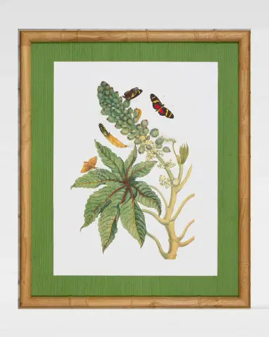 Shadow Catchers "Classic Botanical VII" Framed Giclee | Thumbnail 2 Shadow Catchers "Classic Botanical VII" Framed Giclee | Thumbnail 2