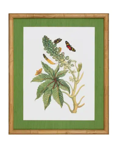 Shadow Catchers "Classic Botanical VII" Framed Giclee | Thumbnail 1 Shadow Catchers "Classic Botanical VII" Framed Giclee | Thumbnail 1