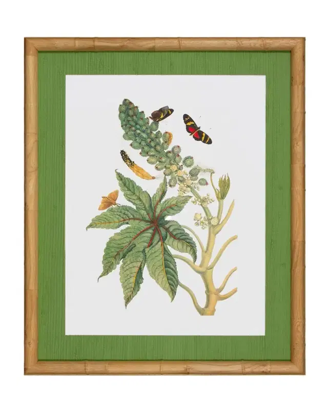 Shadow Catchers "Classic Botanical VII" Framed Giclee