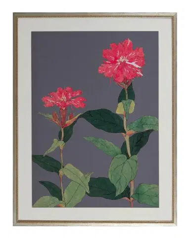 Shadow Catchers "Enchanting Bloom IX" Framed Giclee | Thumbnail 1