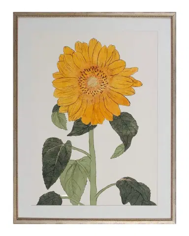 Shadow Catchers "Enchanting Bloom VIII" Framed Giclee | Thumbnail 1 Shadow Catchers "Enchanting Bloom VIII" Framed Giclee | Thumbnail 1