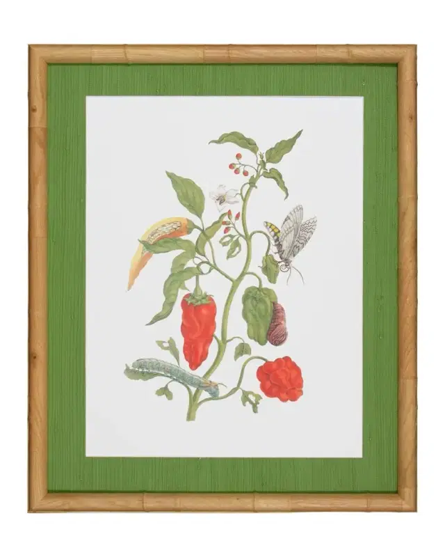 Shadow Catchers "Classic Botanical II" Framed Giclee