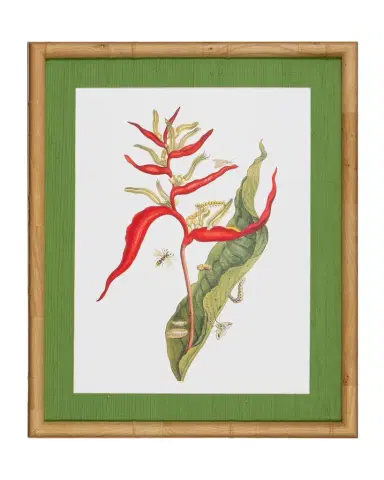 Shadow Catchers "Classic Botanical III" Framed Giclee | Thumbnail 1 Shadow Catchers "Classic Botanical III" Framed Giclee | Thumbnail 1