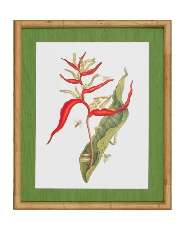 Shadow Catchers "Classic Botanical III" Framed Giclee