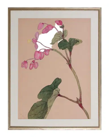 Shadow Catchers "Enchanting Bloom VII" Framed Giclee | Thumbnail 1