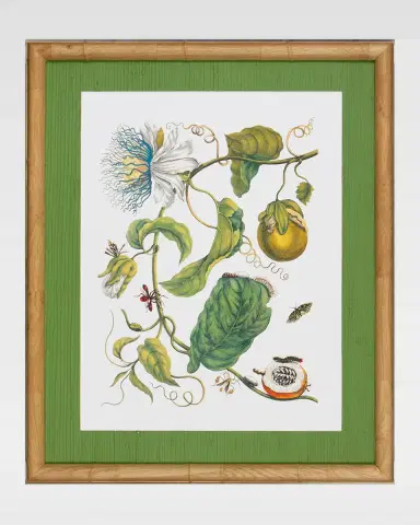 Shadow Catchers "Classic Botanical X" Framed Giclee | Thumbnail 2 Shadow Catchers "Classic Botanical X" Framed Giclee | Thumbnail 2