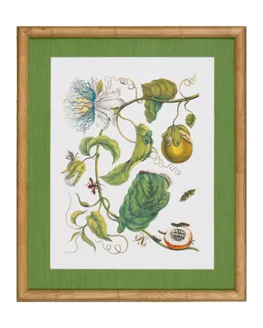 Shadow Catchers "Classic Botanical X" Framed Giclee | Thumbnail 1 Shadow Catchers "Classic Botanical X" Framed Giclee | Thumbnail 1