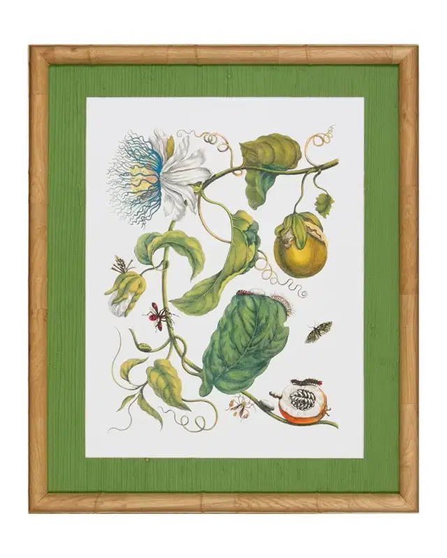 Shadow Catchers "Classic Botanical X" Framed Giclee