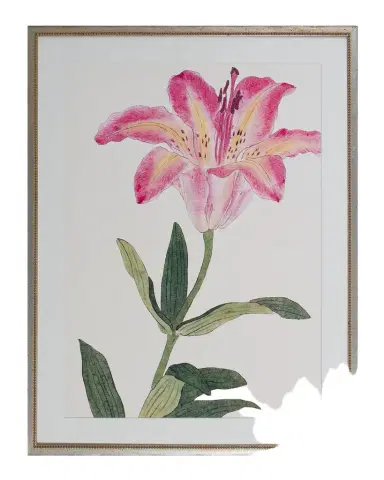 Shadow Catchers "Enchanting Bloom VI" Framed Giclee | Thumbnail 1 Shadow Catchers "Enchanting Bloom VI" Framed Giclee | Thumbnail 1