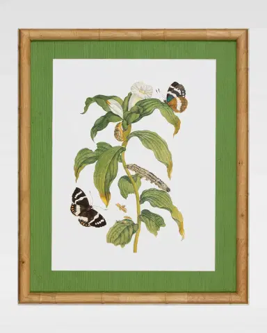 Shadow Catchers "Classic Botanical VI" Framed Giclee | Thumbnail 2 Shadow Catchers "Classic Botanical VI" Framed Giclee | Thumbnail 2