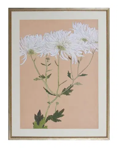 Shadow Catchers "Enchanting Bloom III" Framed Giclee | Thumbnail 1 Shadow Catchers "Enchanting Bloom III" Framed Giclee | Thumbnail 1