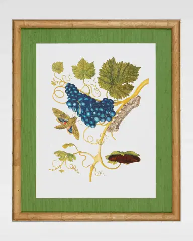 Shadow Catchers "Classic Botanical VIII" Framed Giclee | Thumbnail 2 Shadow Catchers "Classic Botanical VIII" Framed Giclee | Thumbnail 2