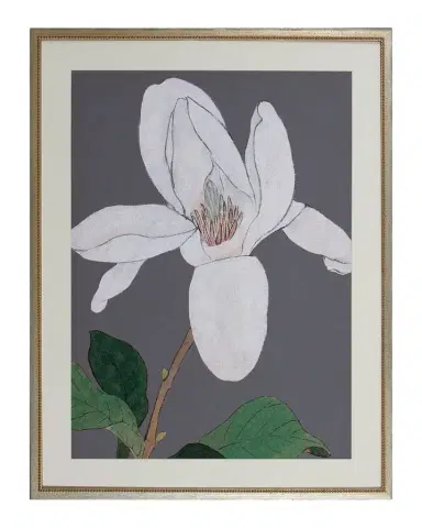 Shadow Catchers "Enchanting Bloom IV" Framed Giclee | Thumbnail 1 Shadow Catchers "Enchanting Bloom IV" Framed Giclee | Thumbnail 1