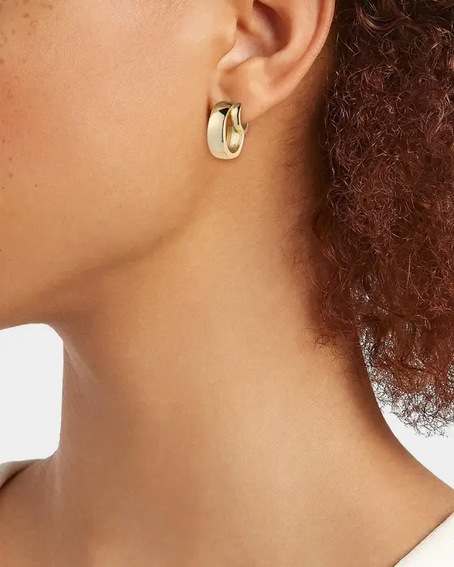 Double Hoop Earrings
