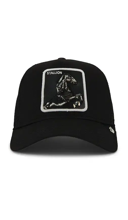 Stallion Trucker Hat